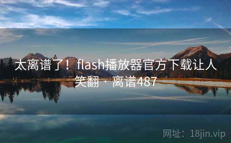 太离谱了!flash播放器官方下载让人笑翻 · 离谱487